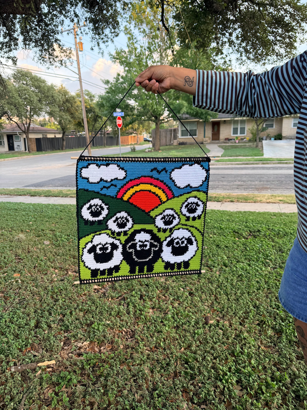 Baa baa black sheep