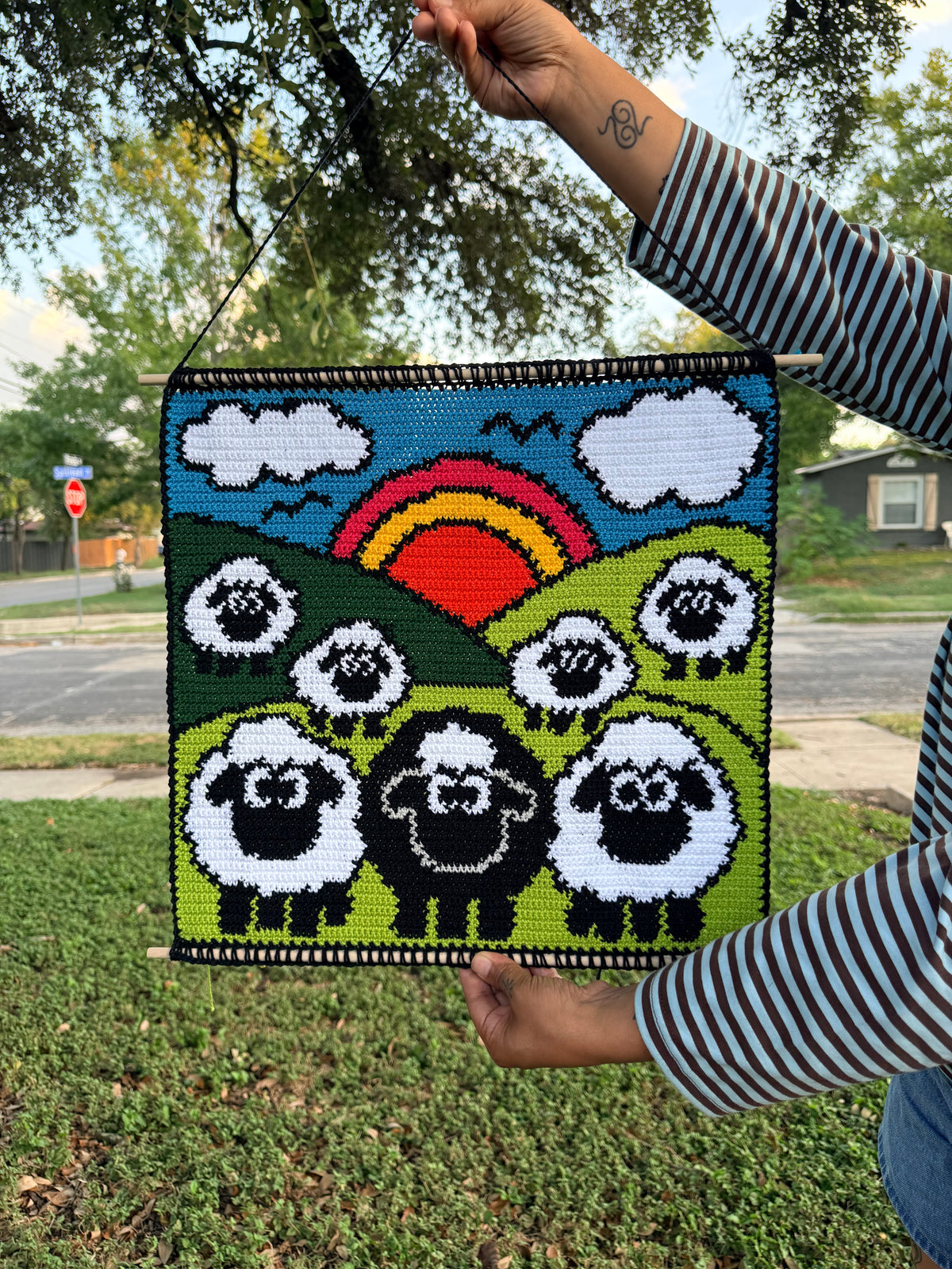 Baa baa black sheep